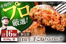 【牧場直送】岩塩と牛肉のみで作った 手ごね ハンバーグ 100g×16個【佐賀セントラル牧場】佐賀県産 ハンバーグ 牛肉 冷凍 はんばーぐ 牛肉 お惣菜 おかず 和牛 国産 ハンバーグ 九州 佐賀県 白石町 [IAH043]