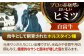 【FARM to TABLE】農場から食卓へ、牧場直送でお届け！