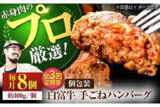 【牧場直送】【3回定期便】白富牛 岩塩と牛肉のみで作った手ごねハンバーグ 100g×8個【佐賀セントラル牧場】佐賀県産 ハンバーグ 牛肉 冷凍 はんばーぐ 牛肉 お惣菜 おかず 和牛 国産 ハンバーグ 九州 佐賀県 白石町 [IAH054]