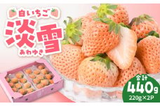 【先行予約】【農家直送】ほんのりピンク白いちご希少な「淡雪」220g×2パック【岸川農園】 九州 佐賀県 白石町 [IAP005]