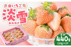 【先行予約】【農家直送/アフターフォロー】白石町産 「淡雪」220g×2パック【岸川農園】 いちご 苺 イチゴ あわゆき 淡雪 淡雪いちご しろいちご 白苺 アフター対応 アフターフォロー [IAP005]