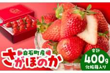 【先行予約】【農家直送】（化粧箱入り）白石産いちご「さがほのか」400g【岸川農園】 九州 佐賀県 白石町 [IAP003]