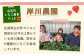 大好評のさがほのかを化粧箱で！