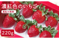 【先行予約】【農家直送】濃紅色のいちご「真紅の美鈴」220g×1パック（6～15粒）【岸川農園】 九州 佐賀県 白石町 [IAP006]