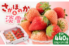 【先行予約】【農家直送】淡雪＆さがほのか赤白いちごセット各220g【岸川農園】 九州 佐賀県 白石町 [IAP007]