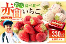 【先行予約】【農家直送】紅白いちご「いちごさん」＆「パールホワイト」化粧箱 約330g以上【かわさきいちご】 [IBG001]