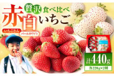 【先行予約】【農家直送】赤白「いちごさん」＆「パールホワイト」セット各220g 【かわさきいちご】[IBG002]