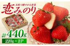 【先行予約】【農家直送】いちごに想いをのせて『恋みのり』220g×2パック/イチゴ 佐賀県産いちご 苺 フルーツ【鐘ヶ江農園】 [IBH001]