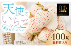 【農家直送】味のバランスのよい希少な白いちご「天使のいちご」（化粧箱入り400g）【ひかるのうえん】 [IBI002]