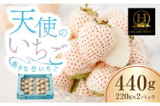 【農家直送】味のバランスのよい希少な白いちご「天使のいちご」220g×2パック【ひかるのうえん】 [IBI001]