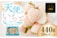 「味」を追求した、たゆまぬ努力