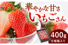 【農家直送】いちごさん（化粧箱入り400g）/佐賀県産いちご 苺 イチゴ ジューシーいちご 【StrawberryFarm-K】 [IBJ002]