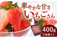 【先行予約】【農家直送】いちごさん（化粧箱入り400g）/ いちご 苺 イチゴ いちごさん フルーツ 果物 甘い あまい  アフター対応 アフターフォロー 期間限定 産地直送 国産 佐賀県産 さがいちご 九州 佐賀県 白石町 【StrawberryFarm-K】 [IBJ002]