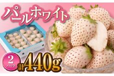 【先行予約】【産地直送】上品な甘さ！希少な白いちご「パールホワイト」220g×2パック [IZZ003]