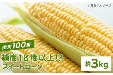 【先行予約】【農家直送】数量限定 糖度18度以上！？スイートコーン『恵味』約3kg【井﨑農園】 [IBP003]