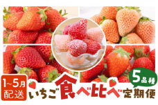 【先行予約】【5回定期便】いちご 5品種 食べ比べ 白いちご など 希少品種 も！【岸川農園】 九州 佐賀県 白石町 [IAP010]