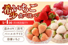 【先行予約】【4回定期便】希少いちご 食べ比べ（恋みのり、パールホワイト、淡雪、冷凍いちご）  [IZZ005]