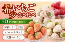 【先行予約】【5回定期便】白いちご3種と冷凍いちご [IZZ007]