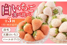 【先行予約】【3回定期便】白いちご3種（天使のいちご、淡雪、パールホワイト） [IZZ008]