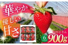 産地直送！白石産 いちごさん（約150g×6パック）【佐賀県農業協同組合】 九州 佐賀県 白石町 [IAK016]