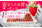 凛とした美しさと華やかな甘さをあなたに