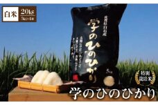 【先行予約】【令和6年産新米】学のひのひかり 20kg（白米）【白浜農産】米 お米 特別栽培米 ヒノヒカリ 佐賀 白石 [IBL006]