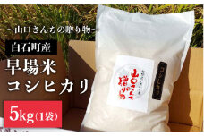 【令和7年8月以降発送】令和7年産 特別栽培米 早場米 コシヒカリ 5kg ～山口さんちの贈り物～【y'scompany】佐賀県産 白米 米 お米 コシヒカリ こしひかり 早場米 特別栽培米 白米 お米 人気 高評価 九州 佐賀県 白石町 [IAS001]