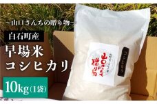 【令和7年8月以降発送】令和7年産新米 特別栽培米 早場米 コシヒカリ 10kg（10kg×1）～山口さんちの贈り物～【y'scompany】佐賀県産 米 お米 コシヒカリ こしひかり 早場米 特別栽培米 白米 お米  [IAS002]