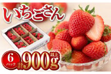 【産地直送】白石産いちご「いちごさん」 約150g×6パック（計900g以上）【道の駅しろいしカンパニー】/いちご イチゴ アフターフォロー 苺 佐賀県産 九州 [IAA022]