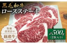 【贅沢な味わい】牧場直営店の黒毛和牛 ロースステーキ 500g（2枚入り）【川﨑畜産】佐賀県産 牛肉 ロース ステーキ すてーき ろーす ステーキ 九州 佐賀県 白石町 [IAX014]