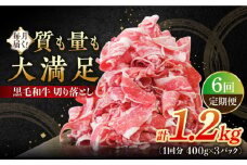 【全6回定期便】 牧場直営店の黒毛和牛 切り落とし 1200g（400g×3パック）【川﨑畜産】佐賀県産 牛肉 切り落とし スライス 小分け 国産 牛肉 きりおとし すき焼き しゃぶしゃぶ 九州 佐賀県 白石町 [IAX018]