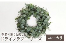【数量限定】【季節の彩りを楽しむ】ドライフラワー リース（ユーカリ）【yumikofactory】 [IBY003]