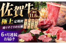 【肉のプロが厳選！】【6回定期便】佐賀牛 極上 定期便【いろは精肉店】佐賀県産 牛肉 国産 肉 和牛 セット 冷凍 九州 人気 高評価 九州 佐賀県 白石町 [IAG078]