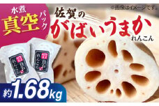 【お手軽調理！】白石町産 水煮れんこん 120g×14袋（カット有り/真空パック）【有限会社白石開発】 /蓮根 レンコン 佐賀県産 白石町産 野菜 根菜 小分け 真空 保存 [IBN003]