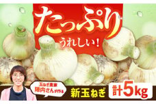 【農家直送！】玉葱農家のこだわり 新玉ねぎ 約5kg 【玉葱農家 陣内ちひろ】新たまねぎ 新玉葱 タマネギ 玉ネギ たまねぎ 九州 佐賀県 白石町 [IAO009]