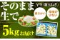 玉ねぎの名産地！佐賀県白石町からお届け！