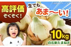 白石産 新たまねぎ（約10kg）【佐賀県農業協同組合】新玉葱 新玉ねぎ 玉葱 タマネギ サラダ 野菜 玉ねぎ たまねぎ 佐賀 10kg 九州 佐賀県 白石町 [IAK017]