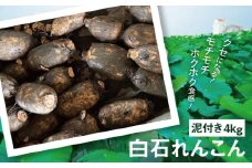 【令和7年8月以降発送】産地直送！白石れんこん（泥付き）4kg【有限会社白石開発】佐賀県産 れんこん レンコン 蓮根 泥付きれんこん 白石れんこん 九州 佐賀県 白石町 [IBN002]