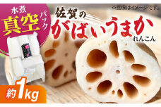 【お手軽調理！】白石町産 水煮れんこん 計1kg（真空パック）【有限会社白石開発】 /蓮根 レンコン 佐賀県産 白石町産 野菜 根菜 小分け 真空 保存 [IBN005]
