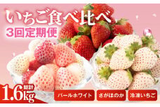 【先行予約】【3回定期便】希少白いちご パールホワイト＆さがほのか、冷凍いちご【ハヤシダファーム】 九州 佐賀県 白石町 [IAQ010]