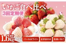 【R8年3月以降発送】【3回定期便】希少白いちご パールホワイト＆さがほのか、冷凍いちご【ハヤシダファーム】 九州 佐賀県 白石町 [IAQ010]