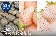 【全3回定期便】白石の冬の名物れんこんと希少白いちご淡雪、パールホワイト [IZZ013]