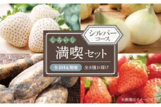 【2025年4月配送スタート】しろいし満喫セット ～シルバーコース～（全3回配送）【株式会社IMKCorporation】 [IBX004]