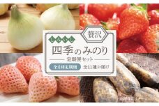 【2025年4月配送スタート】 ≪贅沢≫しろいし四季のみのりセット（全4回配送）【株式会社IMKCorporation】 [IBX003]