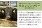 【FARM to TABLE】農場から食卓へ、牧場直送でお届け！