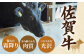 【FARM to TABLE】農場から食卓へ、牧場直送でお届け！
