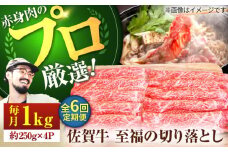 【牧場直送】【6回定期便】佐賀牛 至福の切り落とし 1kg（250g×4パック）【佐賀セントラル牧場】佐賀県産 牛肉 切り落とし スライス 小分け 国産 牛肉 きりおとし すき焼き しゃぶしゃぶ 九州 佐賀県 白石町 [IAH095]