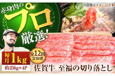 【牧場直送】【12回定期便】佐賀牛 至福の切り落とし 1kg（250g×4パック）【佐賀セントラル牧場】佐賀県産 牛肉 切り落とし スライス 小分け 国産 牛肉 きりおとし すき焼き しゃぶしゃぶ 九州 佐賀県 白石町 [IAH096]