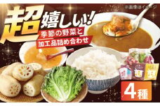 【農家直送！】季節のお野菜＆加工品の詰め合わせ【AGUMIGroup（農業女子グループ）】 九州 佐賀県 白石町 [IAT001]