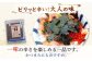 「一番摘み海苔」のおいしさ広がるお得なセット！